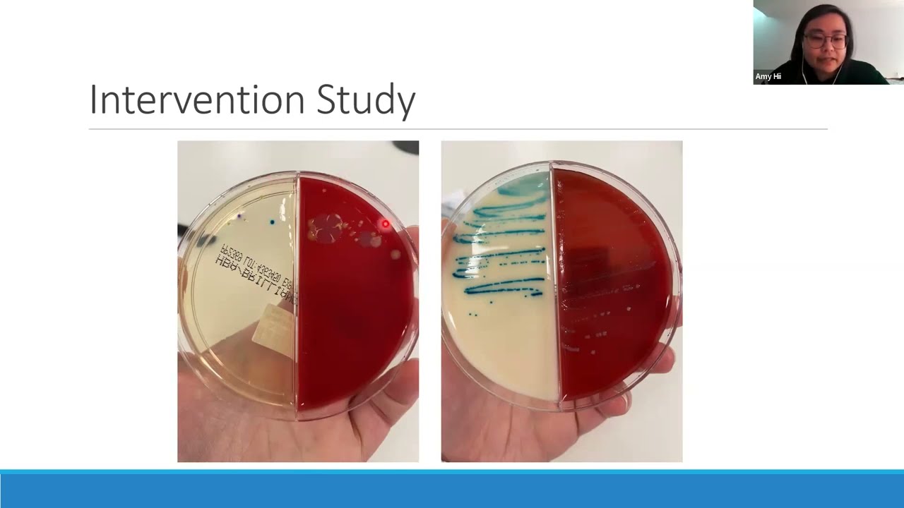 Antimicrobial resistance in urinary tract infections in dogs and cats, by Ms Amy Hii