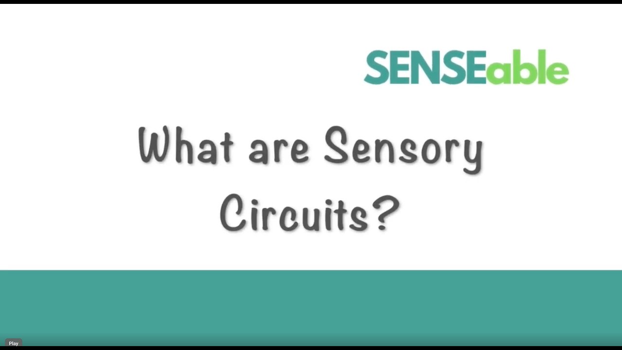 What are Sensory Circuits?