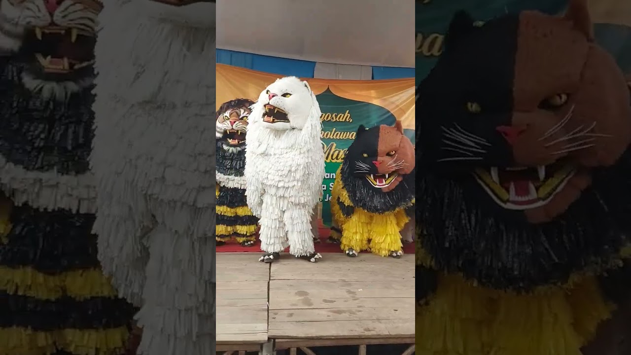 Can macanan singo manggala dan maong remas #canmacanan