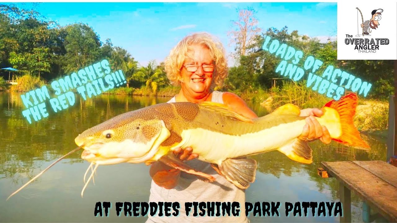 FREDDIES FISHING PARK. Action packed day on Red tails, Pacu, Java barb, common carp and many more!!