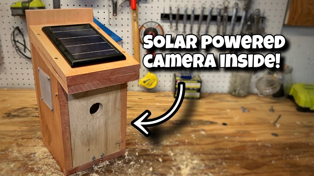 EASIEST DIY Birdhouse with Solar Powered Wifi Camera inside, Every Step Explained