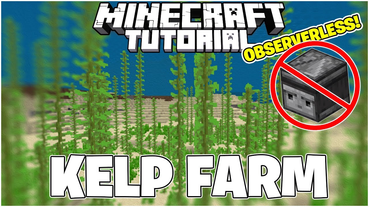 Observerless Kelp Farm Minecraft Bedrock 1.21 Tutorial