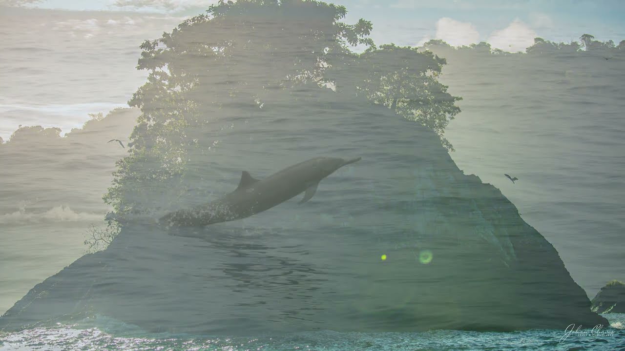 Costa Rica wildlife and landscapes JOHAN CHAVES