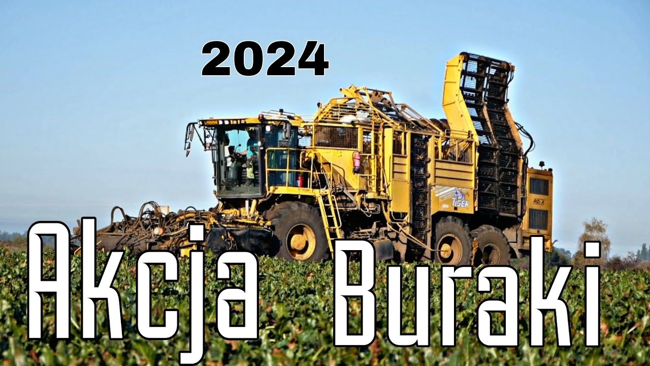 ☆KAMPANIA BURACZANA 2024🇵🇱✔️| ROPA TIGER W AKCJI✔️ ROPA & 3 ODWOZY.