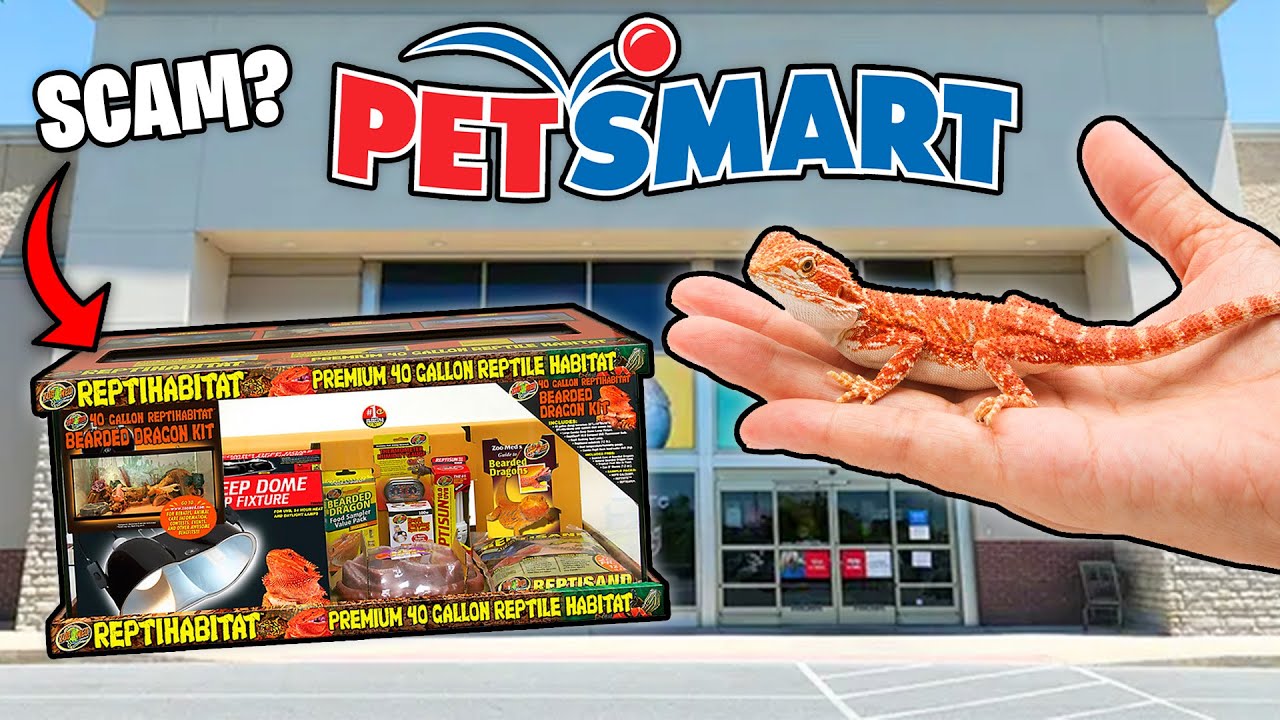 Что полезного есть для бородатых агам в PetSmart?