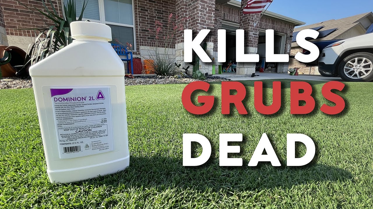 GRUB Control and Prevention in the Lawn