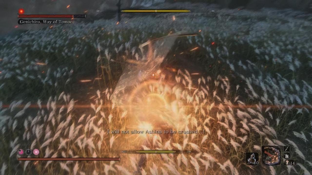 Sekiro: Shadows Die Twice Ishiin fight