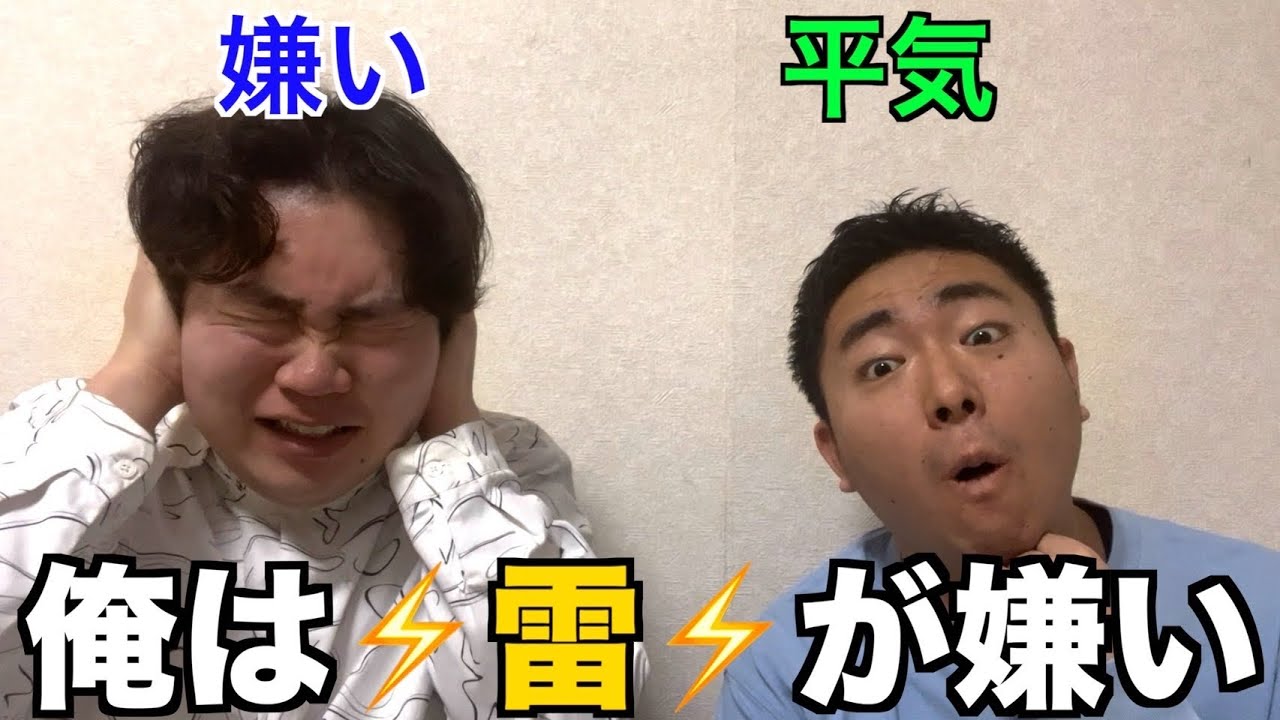 【雷】僕が一番苦手なものについて話します...。