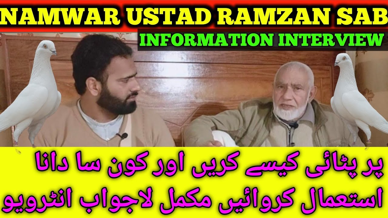 USTAD RAMZAN SAB || FULL INFORMATION INTERVIEW 🕊️🥰 || KABOOTAR BAZI YAZMAN