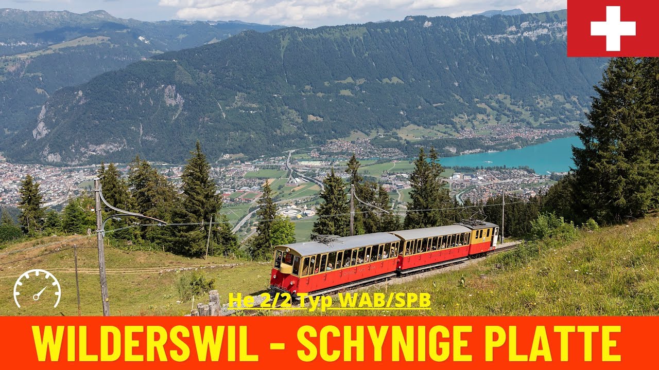 Cab Ride Wilderswil - Schynige Platte (Schynige Platte Railway, Switzerland) train driver's view 4K