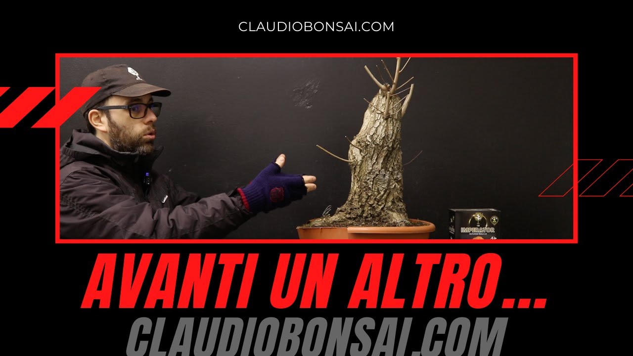 NUOVO OLMO BOMBA YAMADORI