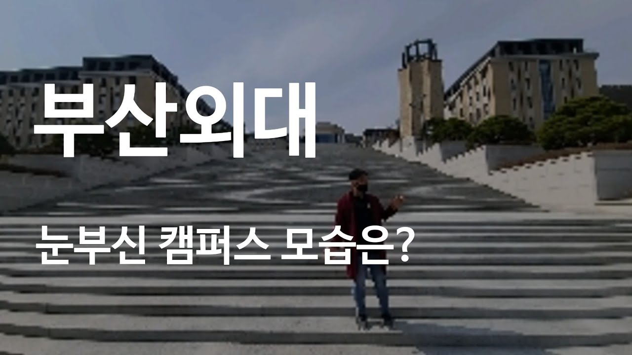한국에서 가장이쁜 대학캠퍼스 부산외대는 어떤 대학교 일까