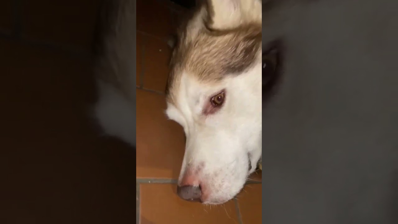 Extra Cuddle Request 