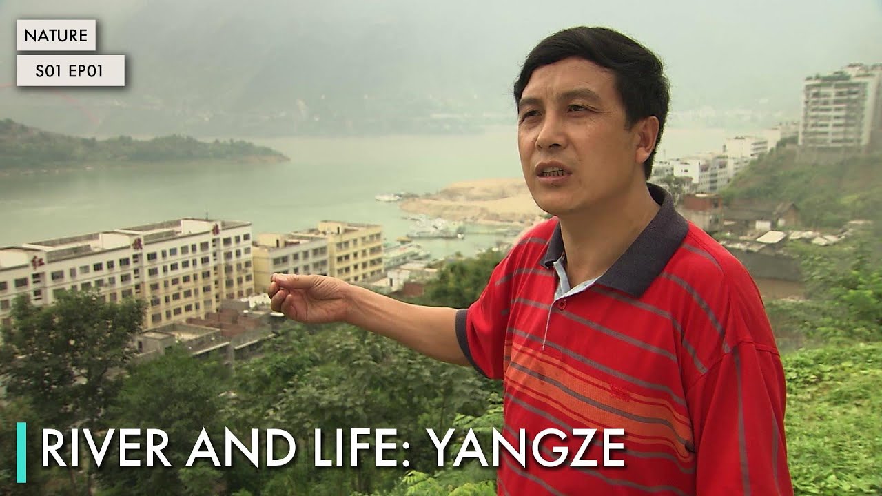 River and Life: Yangze