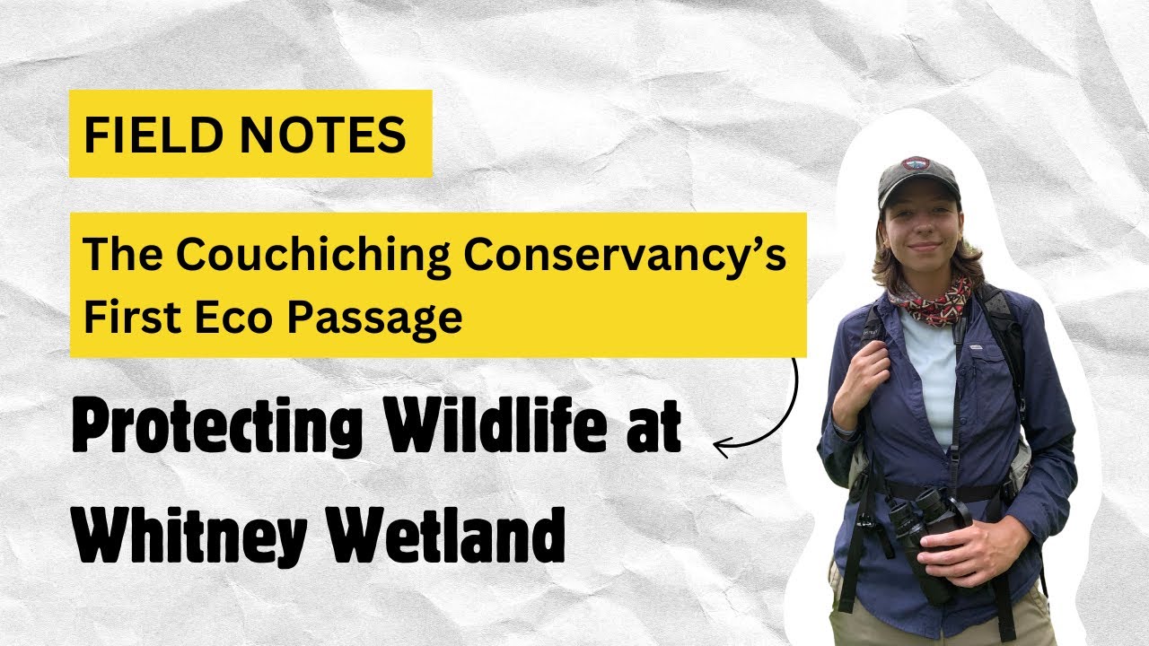 Field Notes - Eco Passage | The Couchiching Conservancy