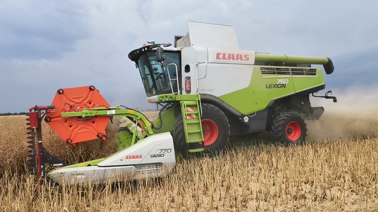 Žatva 2021 Repka olejná 2x CLAAS LEXION 750 3.časť