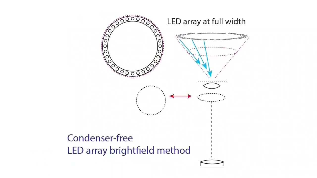 Dual Illumination Fourier Modulation Microscopy - Video 1 - 15:26 mins