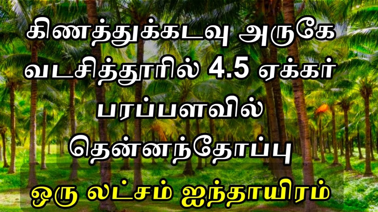 கிணத்துக்கடவு அருகில் வடசித்தூரில் 4.5 ஏக்கர் பரப்பளவில் தென்னந்தோப்பு... சென்ட் 1லட்சம் ஐந்தாயிரம்?