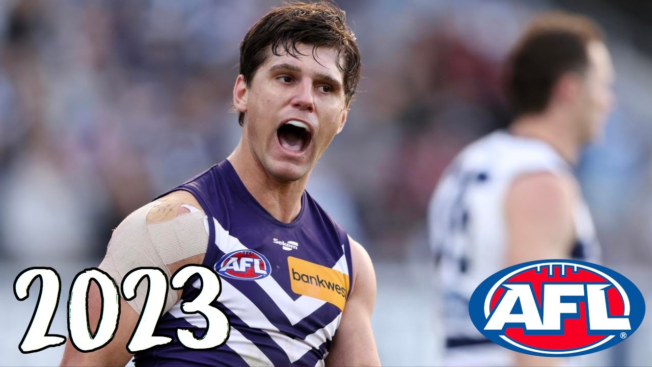 Lachie Schultz 2023 AFL Highlights
