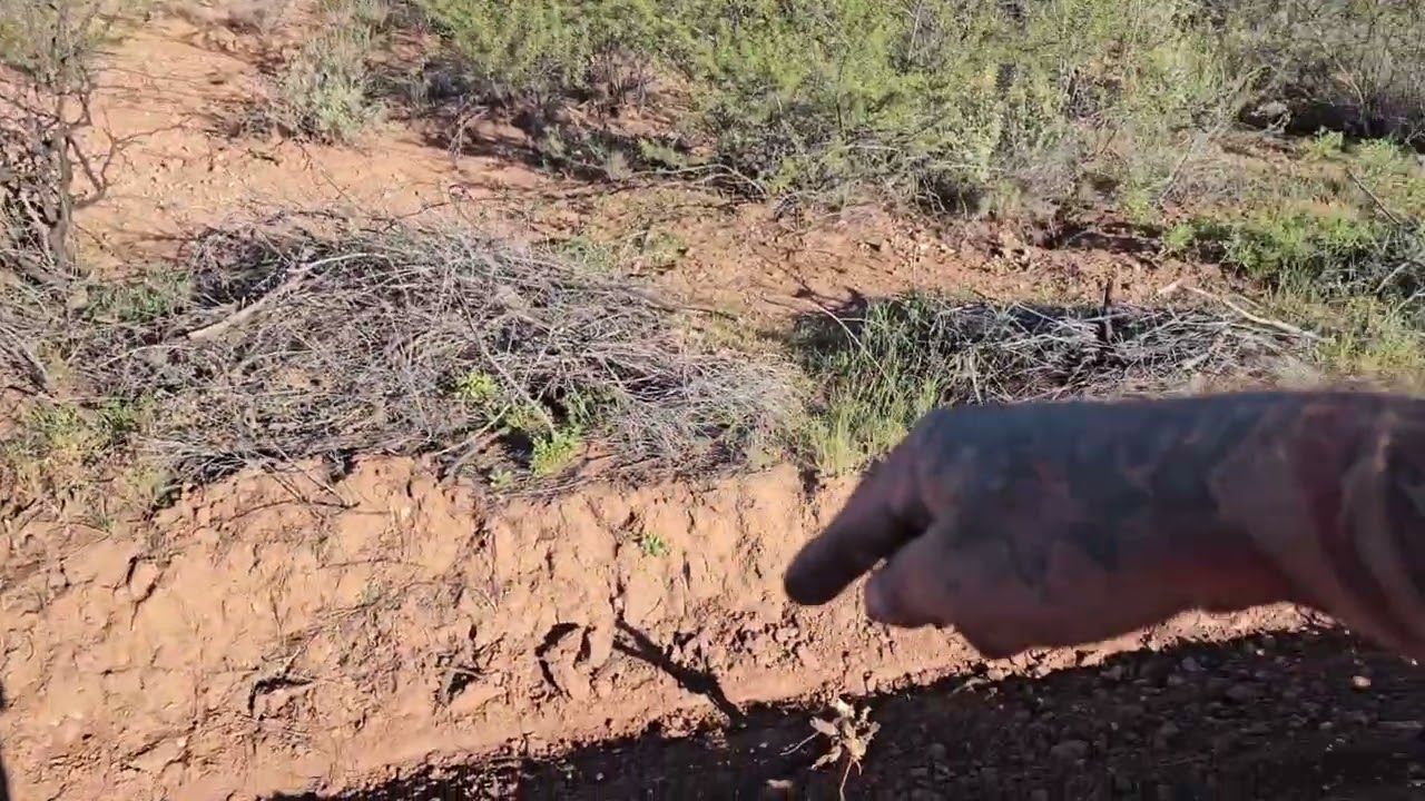 The Most Insane Driveway Repair Job