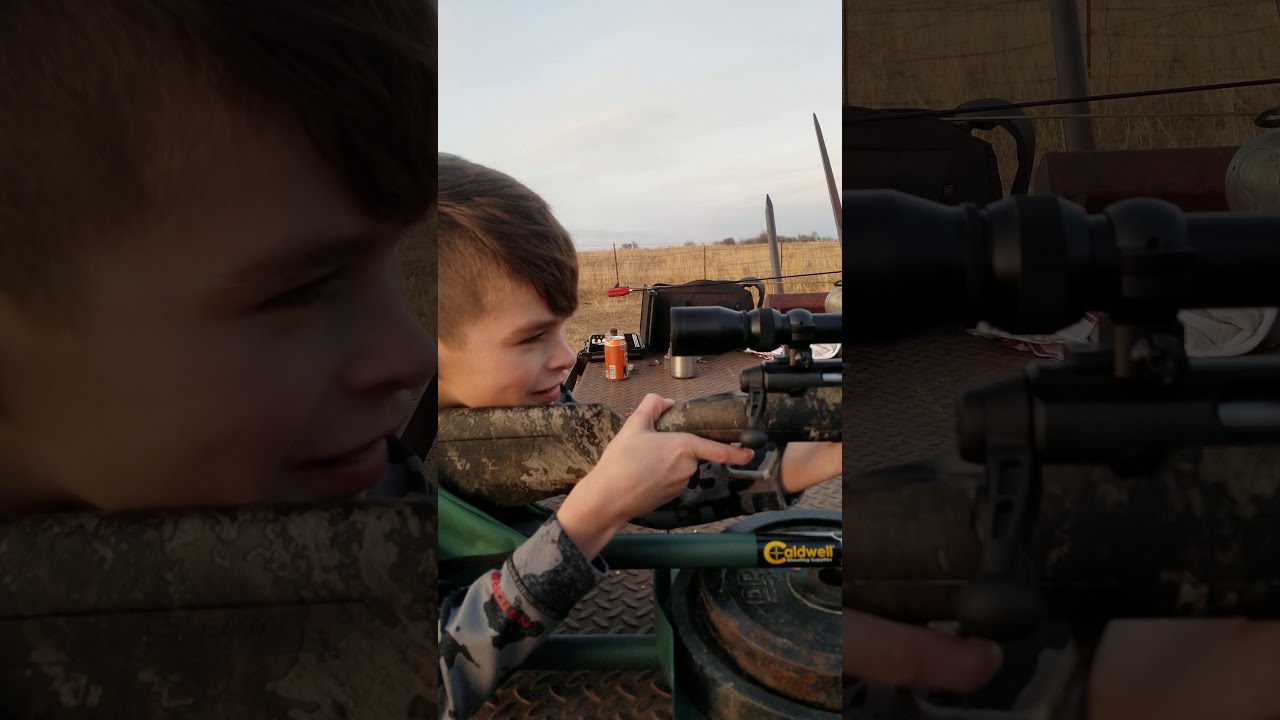 243 youth deer rifle