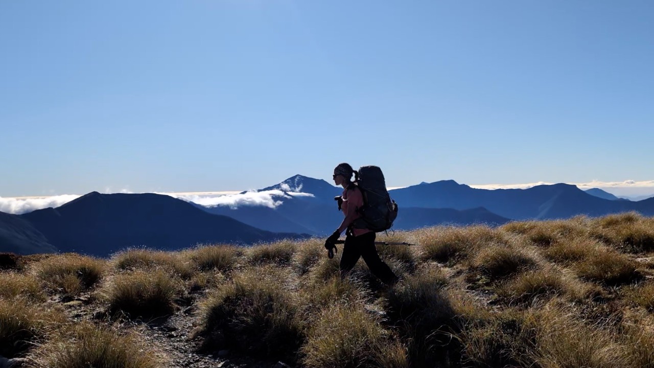 Walking Te Araroa