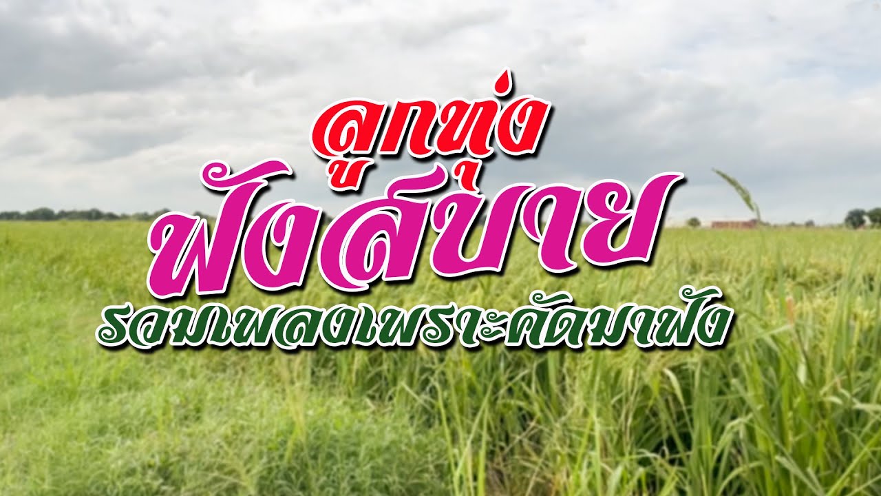 ลูกทุ่งฟังสบาย รวมเพลงเพราะคัดพิเศษ