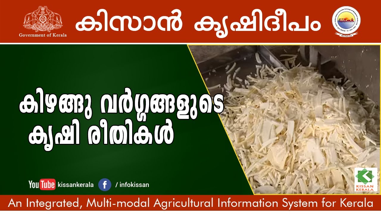 Tuber Crop - Value Addition & Marketing, CTCRI, Thiruvananthapuram