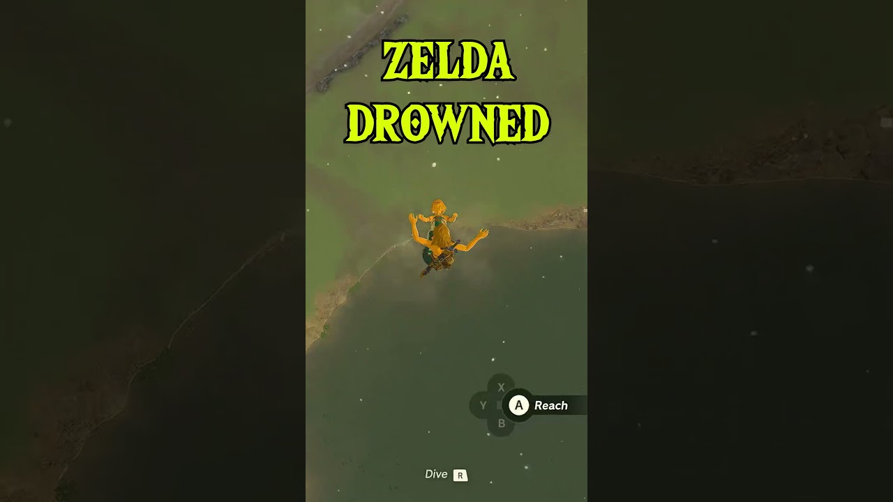Zelda Drowned?! 💧 #zelda #tearsofthekingdom #randomizer