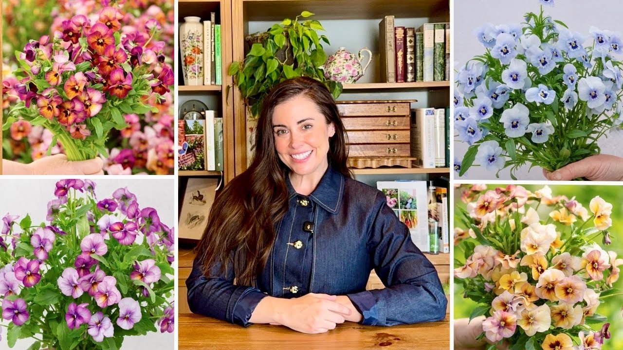 $100 Johnny’s Seeds Giveaway🌱 + Pansy Haul For Next Year's Garden!