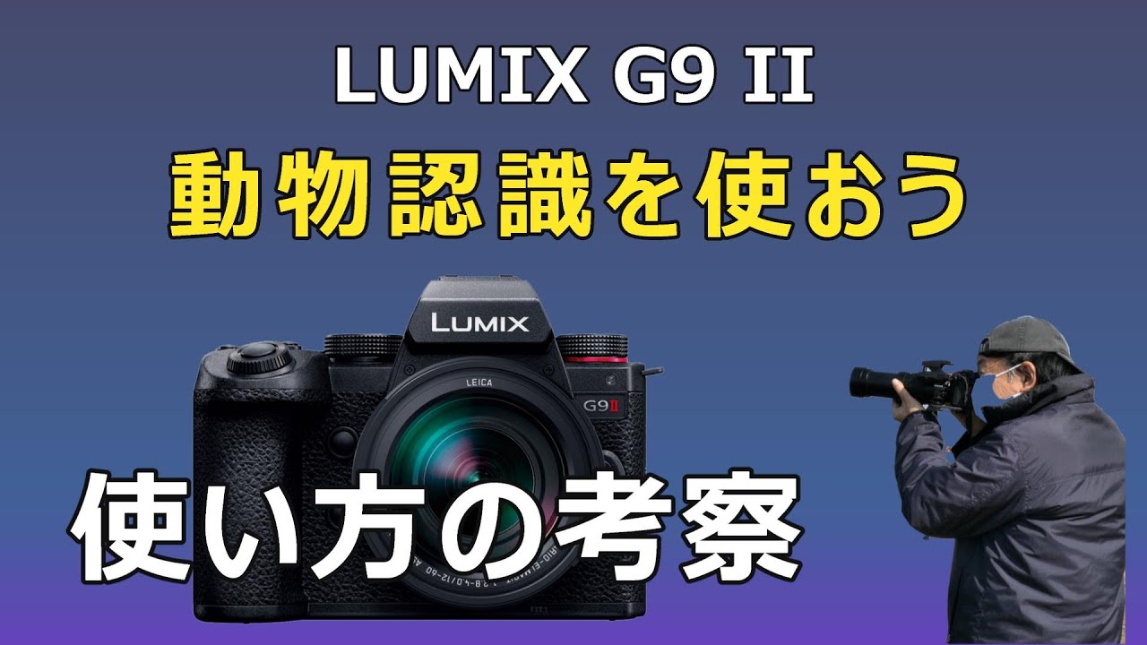 LUMIX G9 II 動物認識AFの使い方の考察：野鳥撮影に適したAFモードは