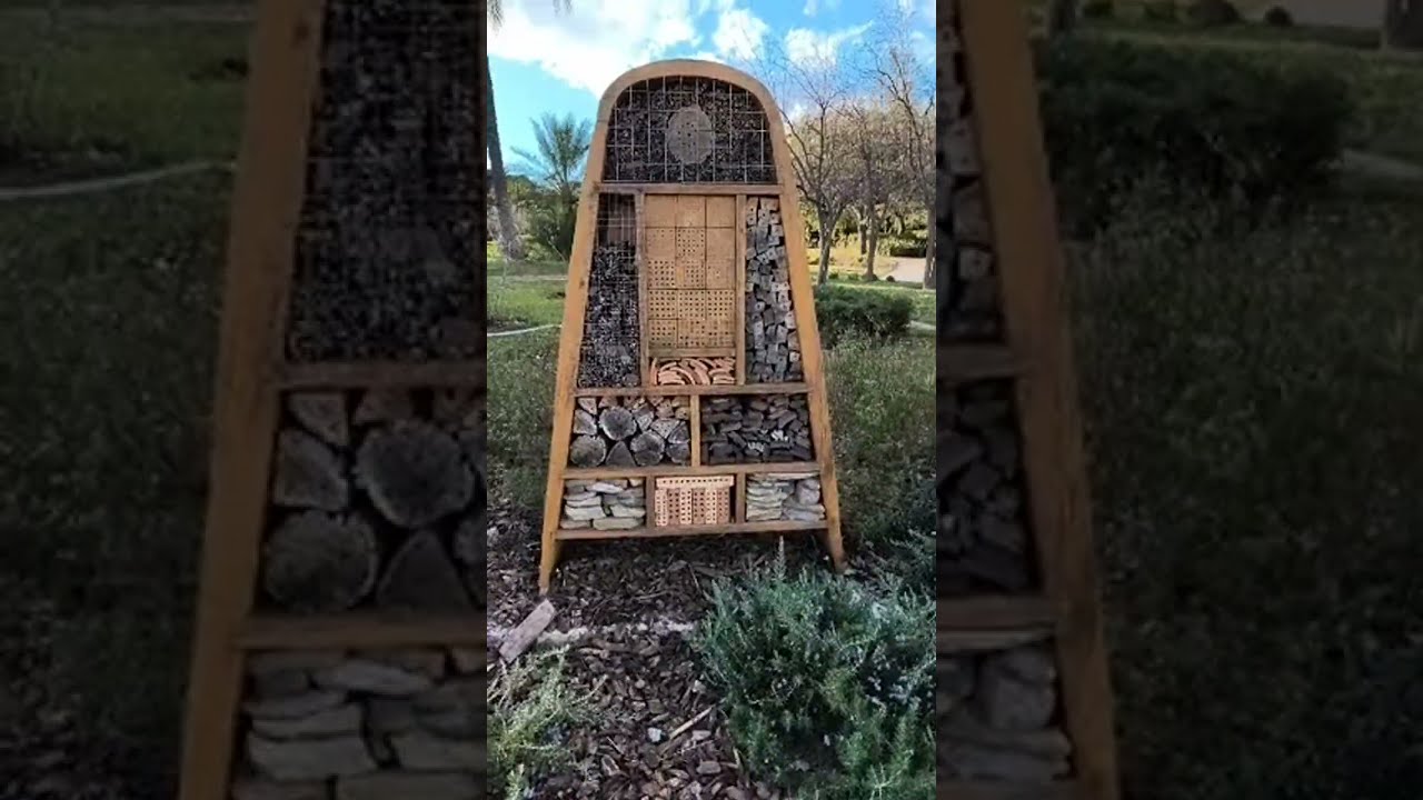 Caminata parque Miguel Cervantes 