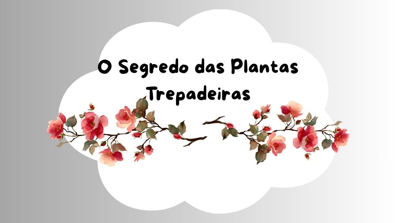 O Segredo das Plantas Trepadeiras Para Ter Flores o Ano Todo
