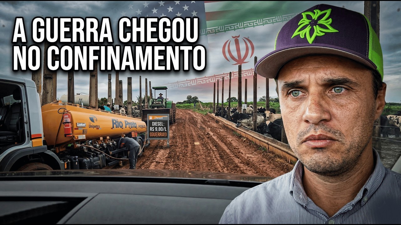 A GUERRA ESTÁ AFETANDO O CONFINAMENTO: O PERIGO PARA O AGRO BRASILEIRO