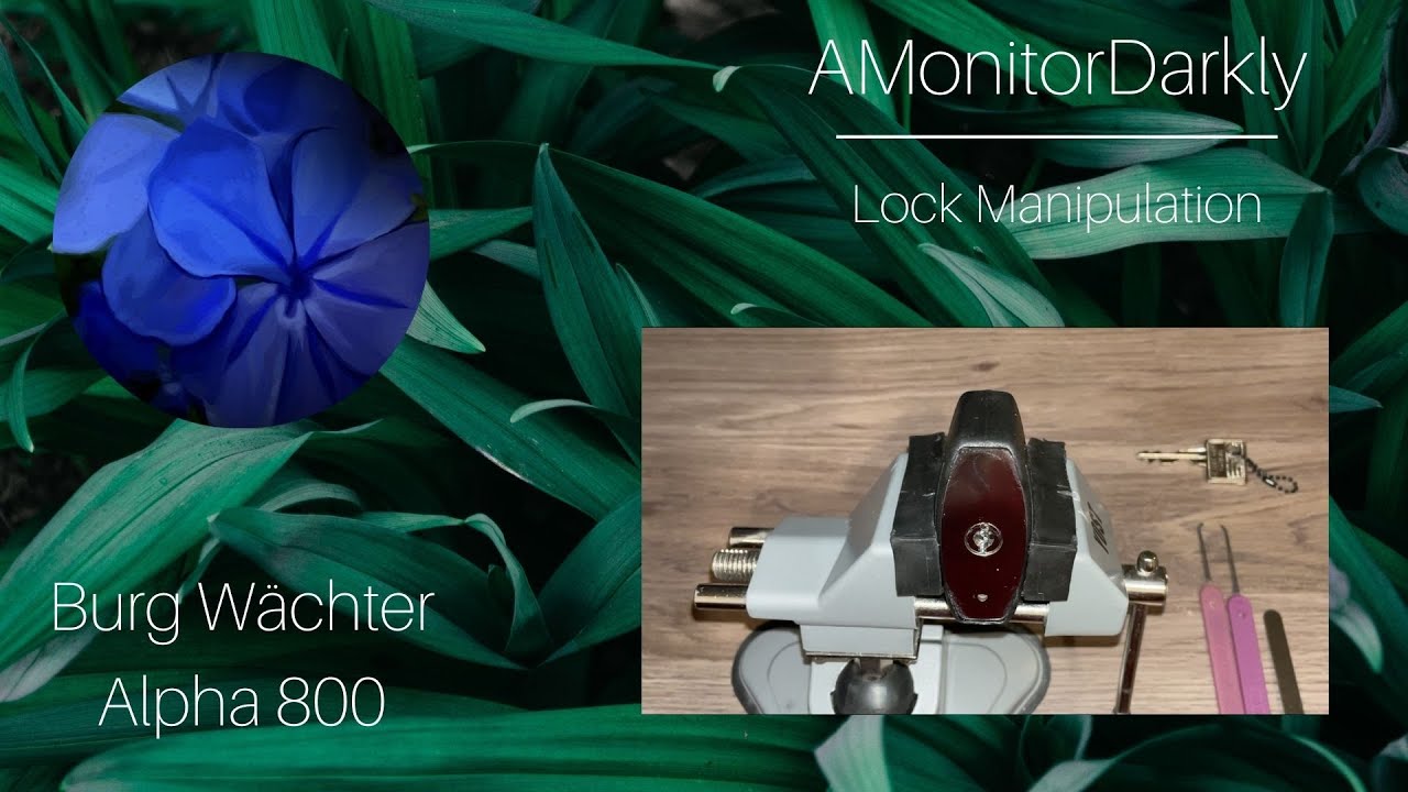 Burg W&auml;chter Alpha 800 Picked