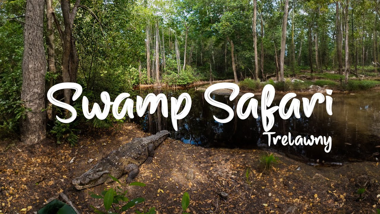 Swamp Safari Village Trelawny Where DF