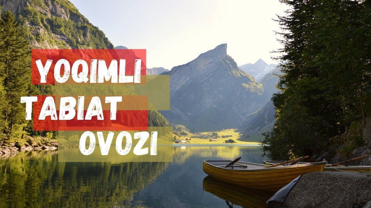 Tabiat Ovozi Musiqasi   Tinchlantiruvchi Musiqa, Meditatsiyasi Musiqasi, Suv Ovozi