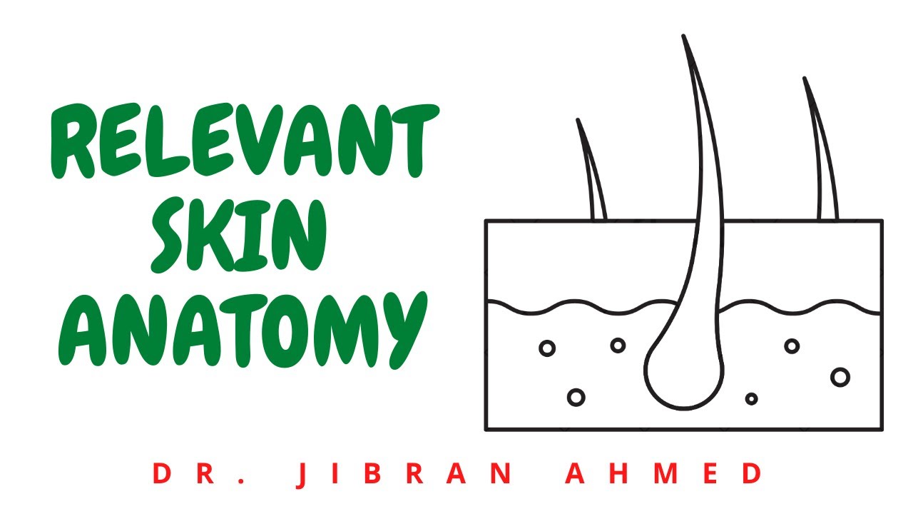 RELEVANT SKIN ANATOMY II ROBBINS 10TH E II SKIN II PATHOLOGY LECTURES II SYSTEMIC PATHOLOGY