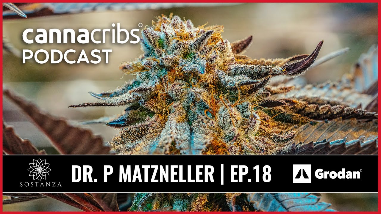 Philipp Matzneller - Cannabis Canopy Management - Canna Cribs Consulting