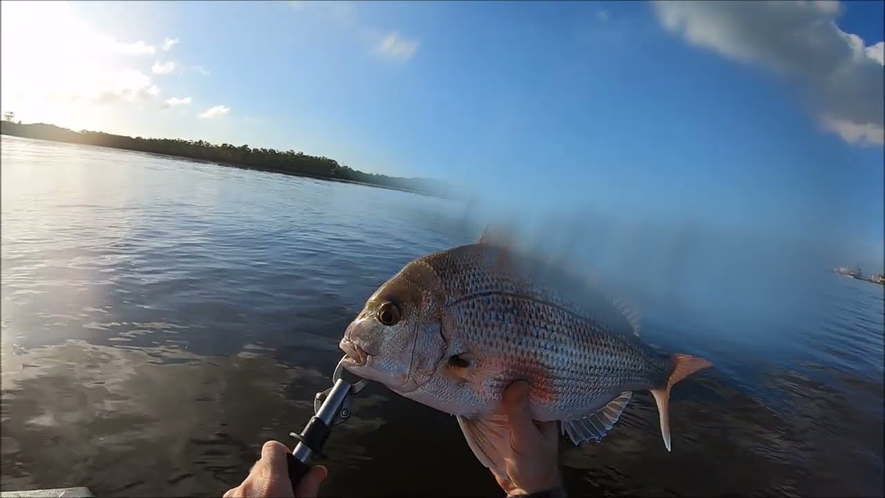 Fishing at the Port of Brisbane - Snapper are on after the rain.