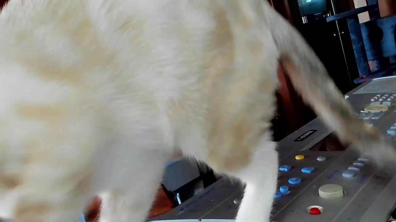 Weekly Top Live! Come on in and Vote!!!!!!