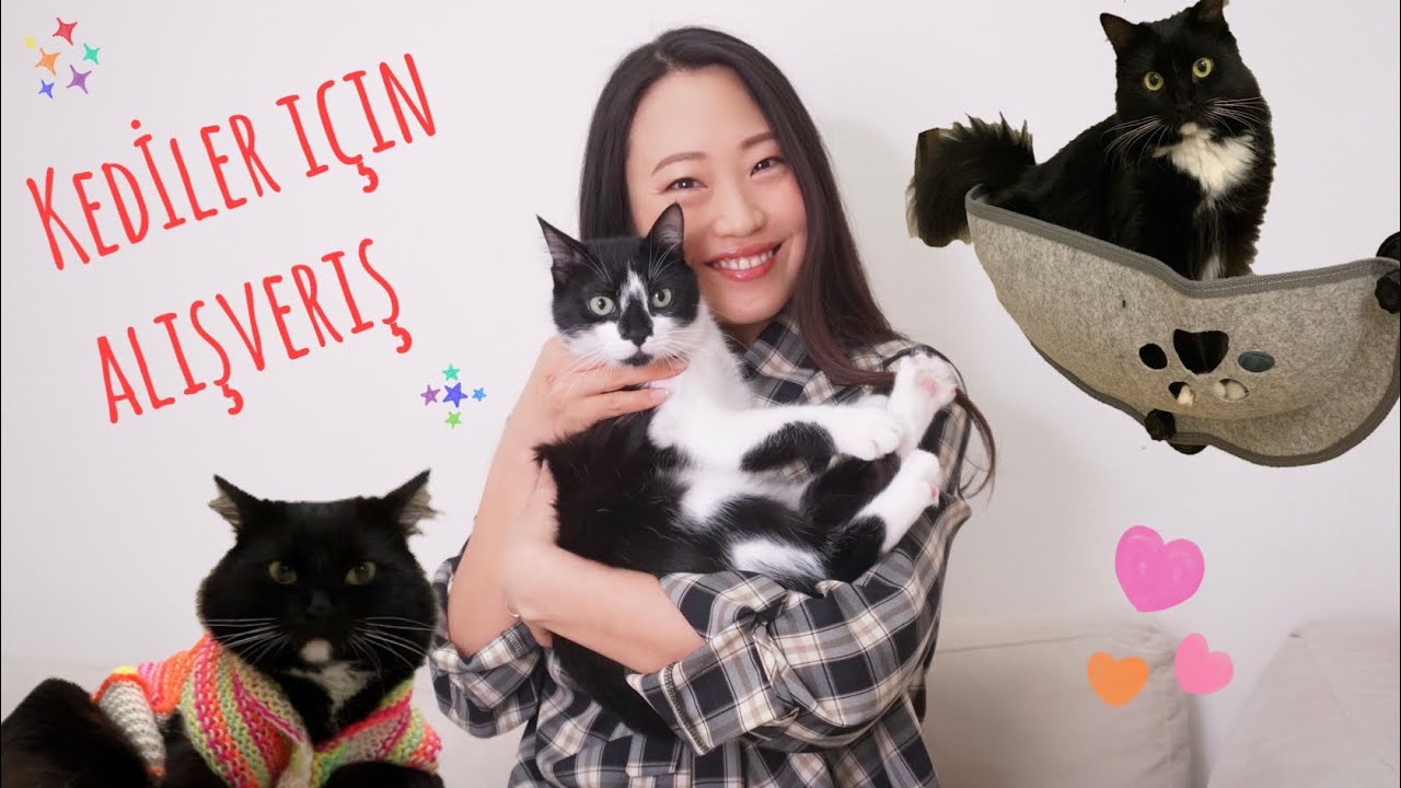 Kedi ürünleri alışverişi | Kayınvalidem Kediler için hırka ördü | Kedi alerjim nasıl geçti?