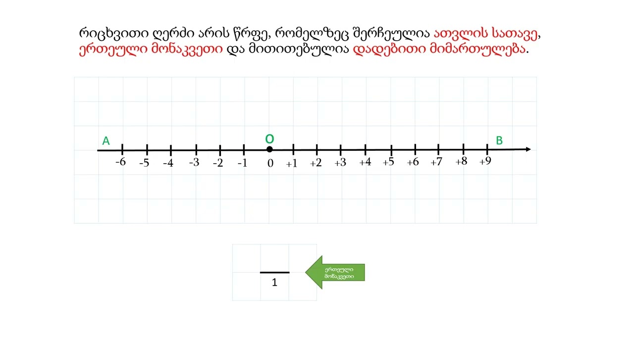 რიცხვითი ღერძი  კოორდინატი-ინგა შამუგია