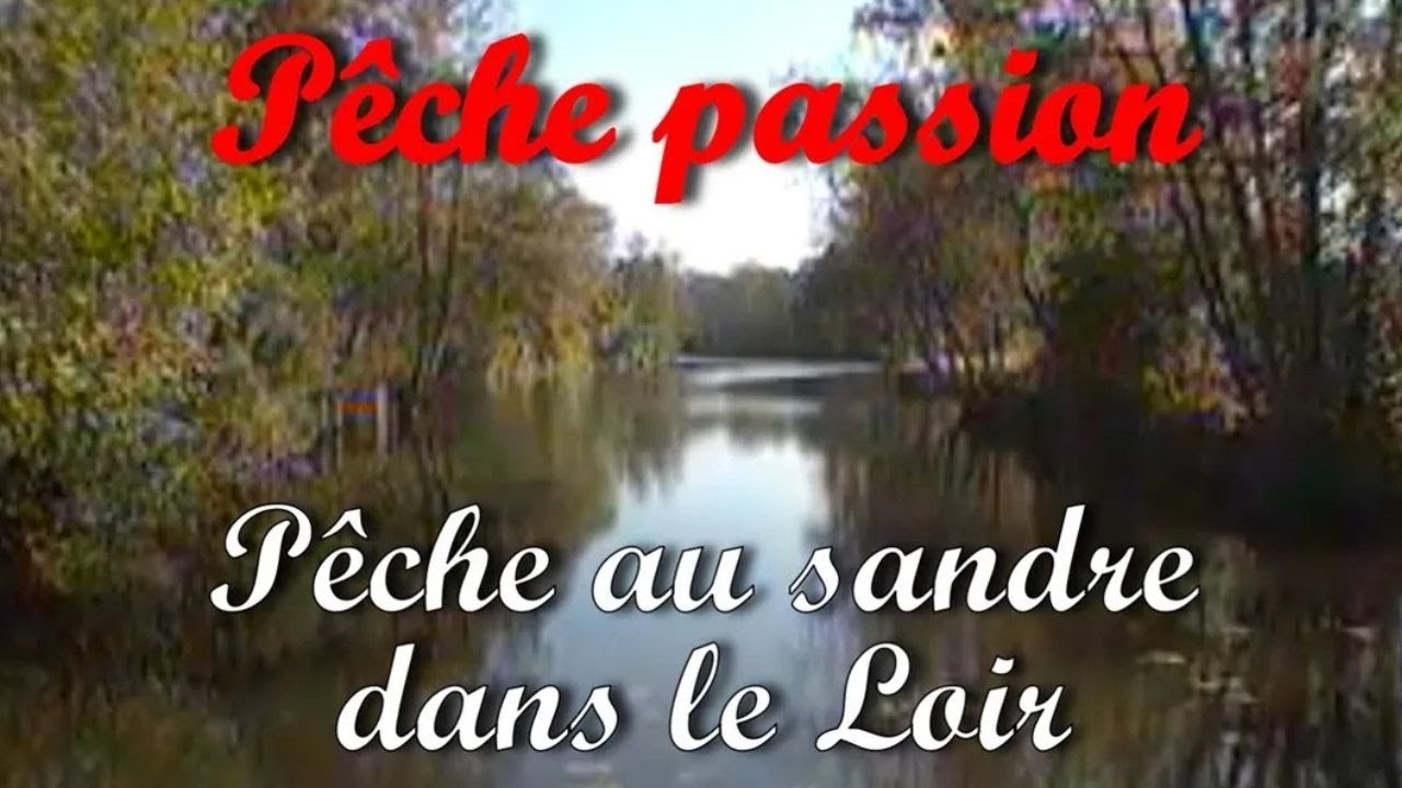 Pêche Passion : Pêche au sandre dans le Loir