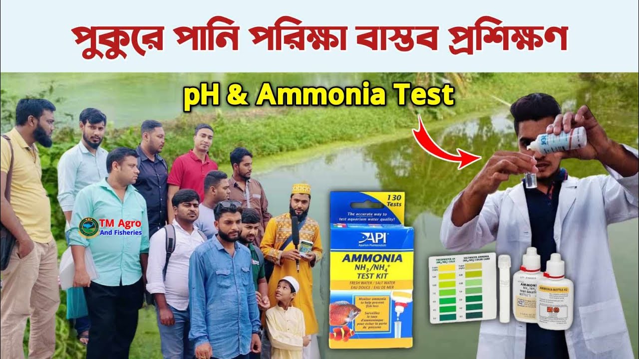 পানির পিএইচ ও অ্যামোনিয়ার মাত্রা পরীক্ষা | পুকুরের পানি পরিক্ষার ট্রেনিং, Dissolved O, Alkalinity