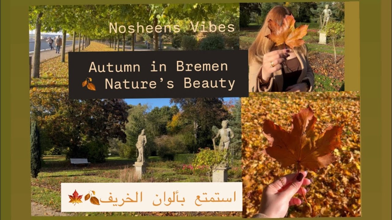 Autumn in Bremen 🍂 Colors & Calm  🍂استمتع بألوان الخريف بمدينتي🍁 