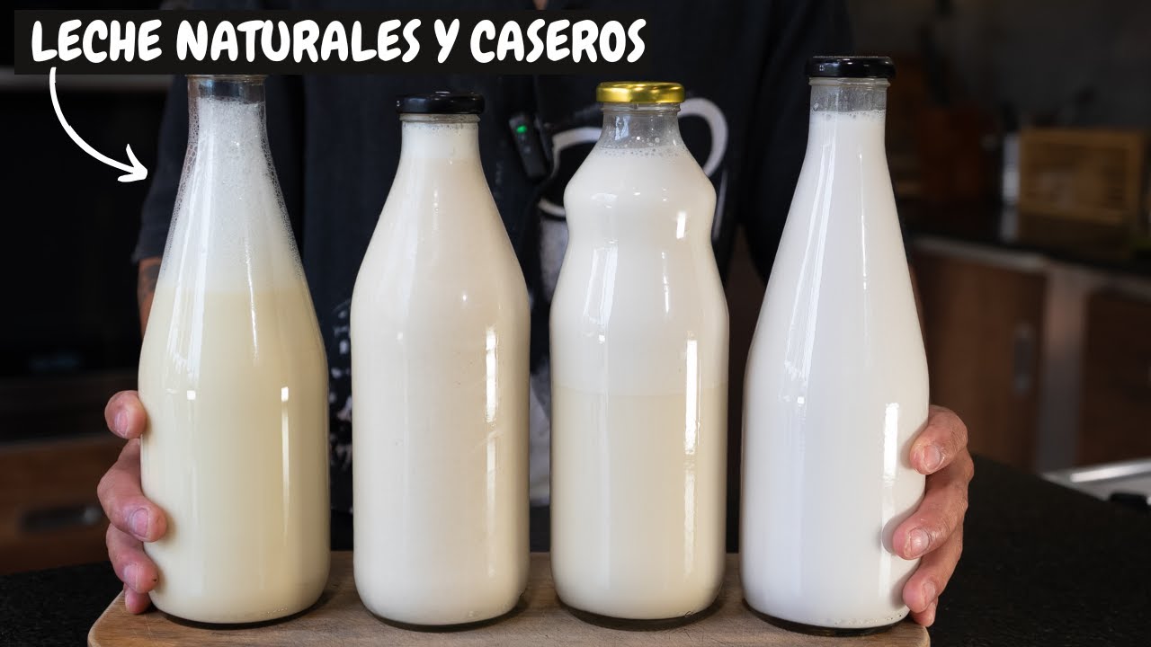 Como hacer LECHE NATURALES EN CASA, recetas faciles | Abelca