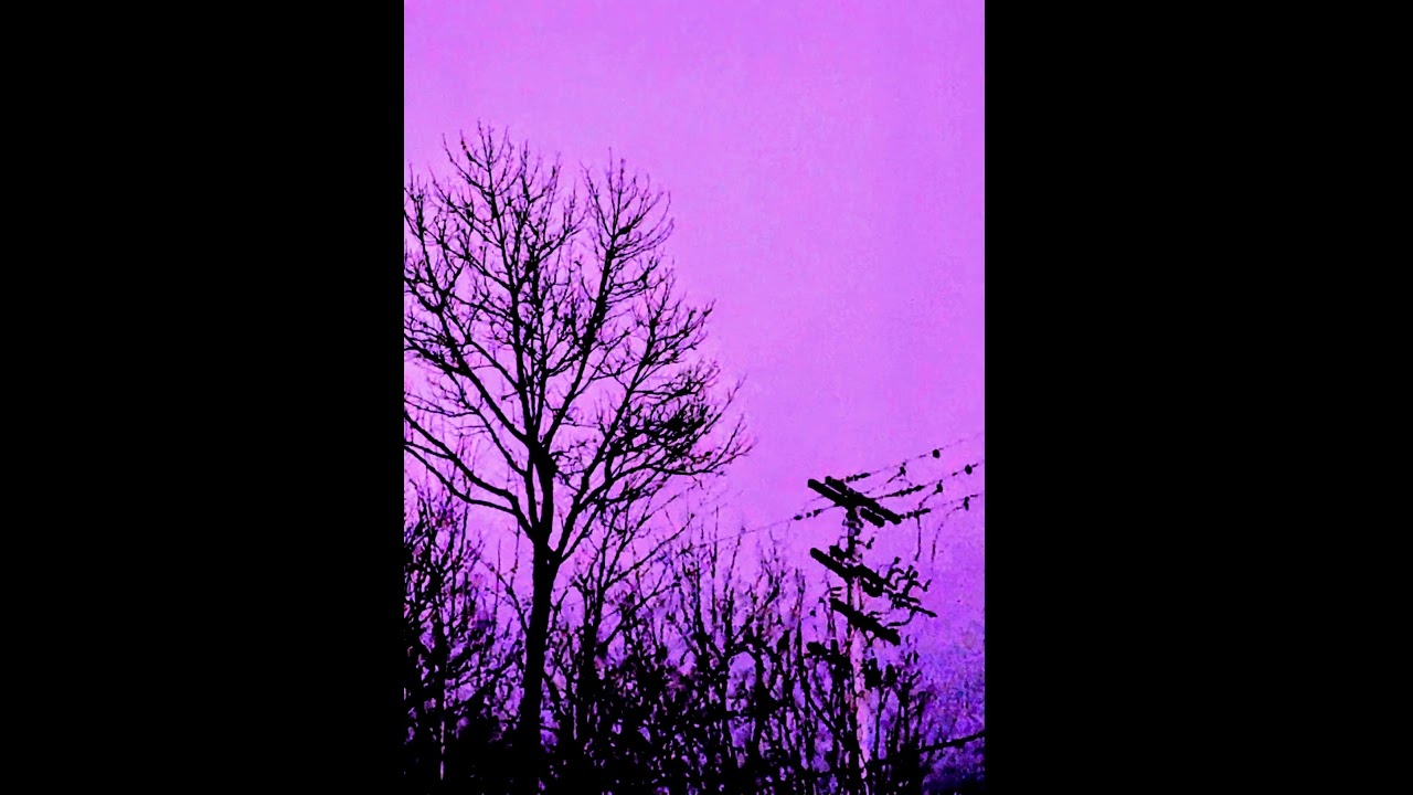 [FREE] - Cinema - Pop / Hip - Hop Beat