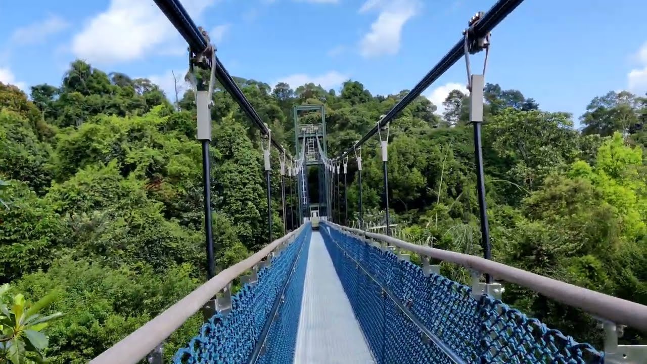 TreeTop Walk, Singapore