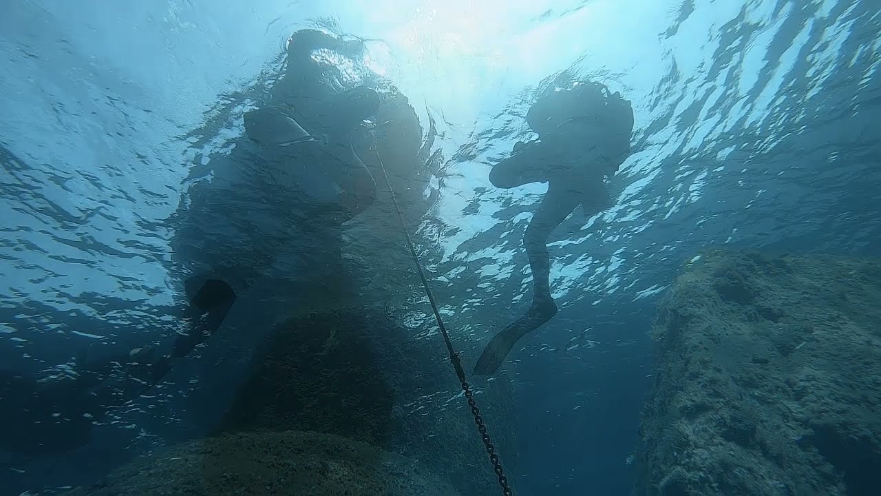 Plongée en Corse du Sud - Juillet 2021